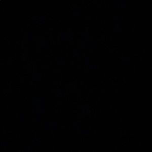 Meet your Posher, Erim